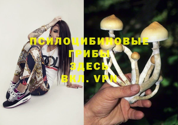 гашиш Абаза