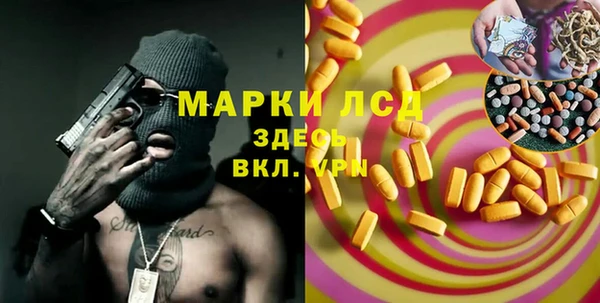 spice Новодвинск