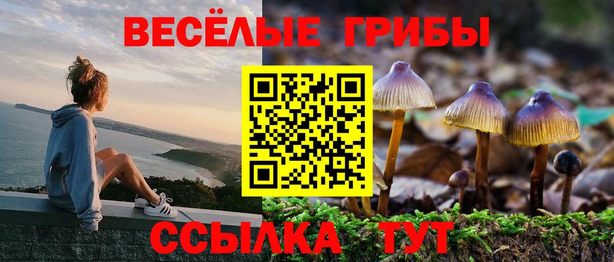 Псилоцибиновые грибы GOLDEN TEACHER  Галлюциногенные грибы MAGIC MUSHROOMS  Вход с VPN  Прокопьевск 