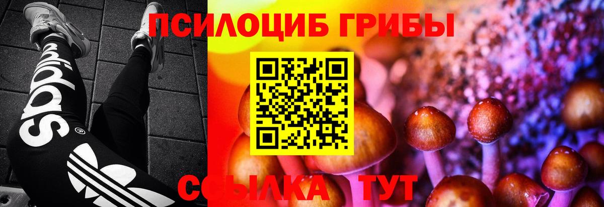 Псилоцибиновые грибы Psilocybine cubensis Прокопьевск